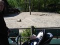 zoo 074
